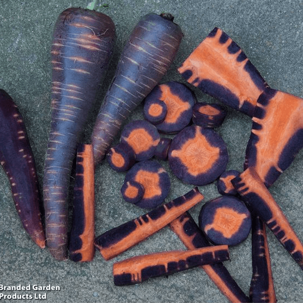 Hovedbilde Gulrot Purple Haze F1 -Frø-