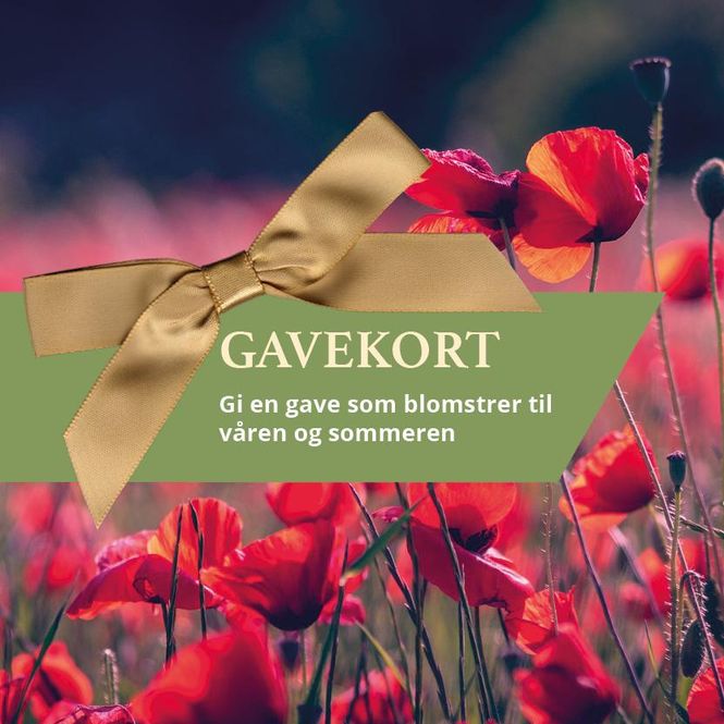 Hovedbilde Gavekort