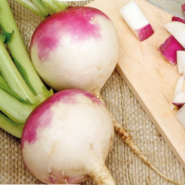 Hovedbilde Nepe, De Nancy -Frø-