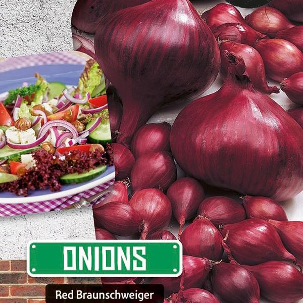 Hovedbilde Løk Red Braunschweiger. Rødløk