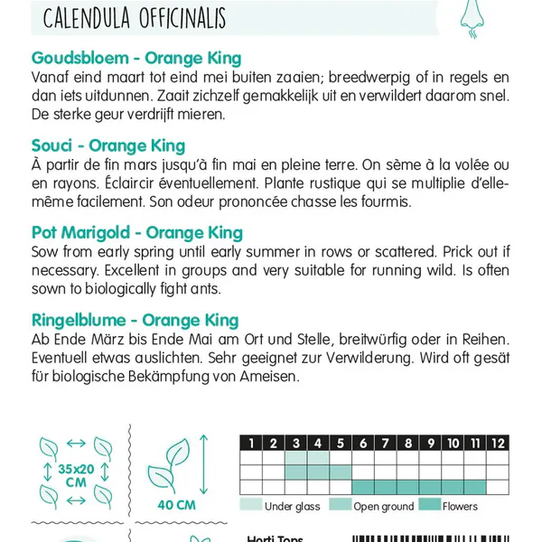 Hovedbilde Calendula officinalis Orange King - Frø - ...
