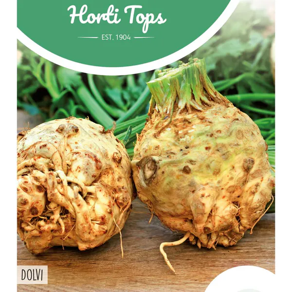 Hovedbilde Sellerirot Dolvi -Frø-