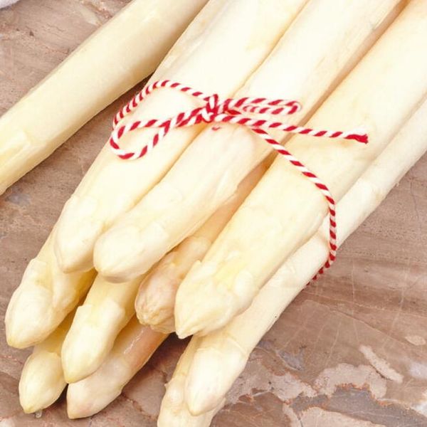 Hovedbilde Asparges Argenteuil -Frø-