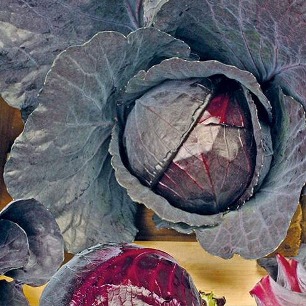 Kål, rødkål -Frø-