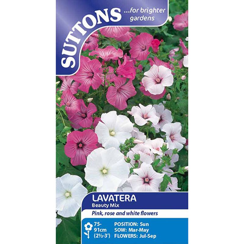 Lavatera Beauty Mix -Frø- Hagepoppelrose