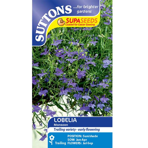 Bilde av LOBELIA 'Monsoon'