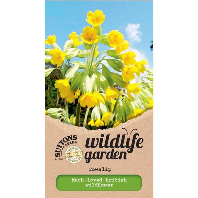 Hovedbilde Bakkeprimula Veris -Frø- Marianøkleblom 