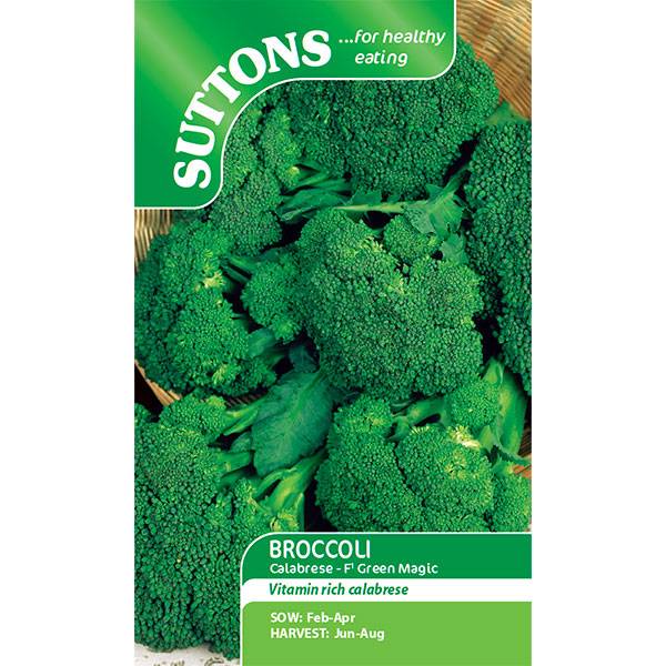 Bilde av BROKKOLI Green Magic. F1 Hybrid