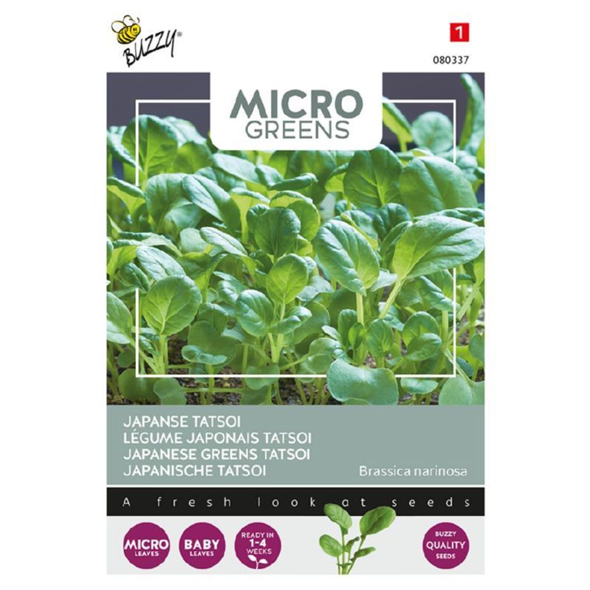 Micro greens. Tatsoi - Frø -