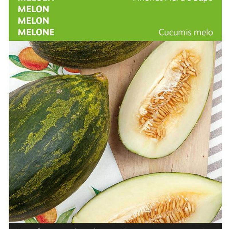 Melon, Piel De Sapo -Frø-