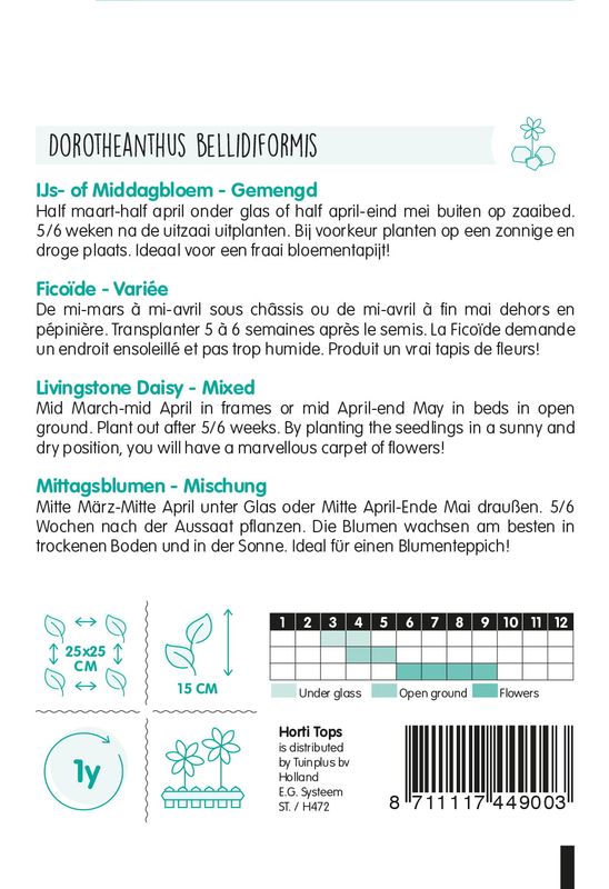 Dorotheanthus Sparkles Mix -Frø- Middagsblomst