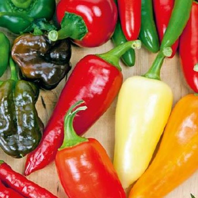 Hovedbilde Chili, Mix -Frø-