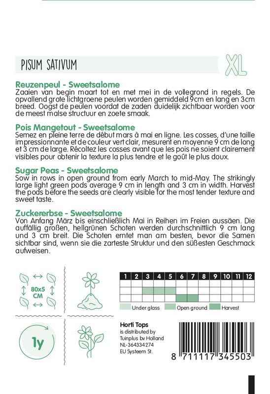 Sukkerert Sweetsalome Giant -Frø-