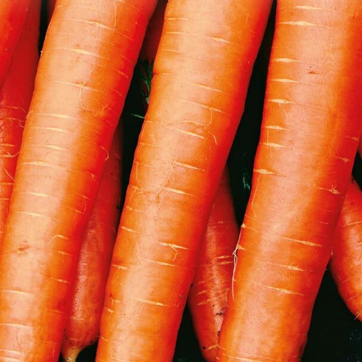 Gaveeske med frø til grønnsaker