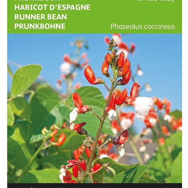 Hovedbilde Bønner, prydbønne Painted Lady -Frø-