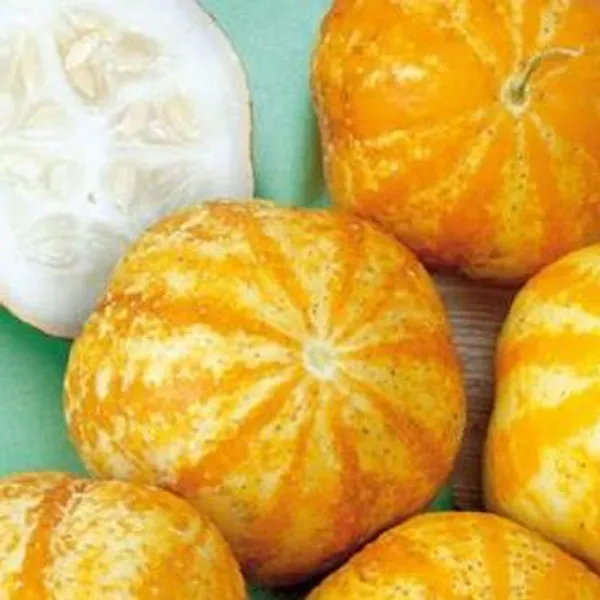 Hovedbilde Agurk Lemon Apple, sitronargurk -Frø-