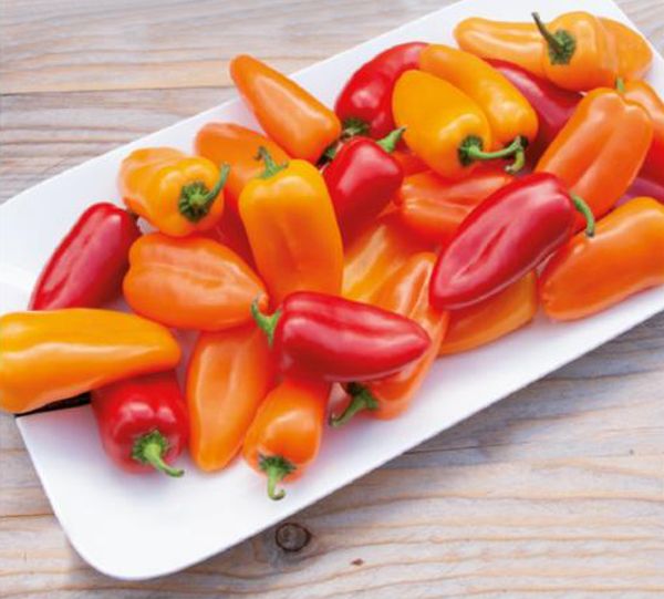 Hovedbilde Paprika. Snackpaprika Mix -Frø-