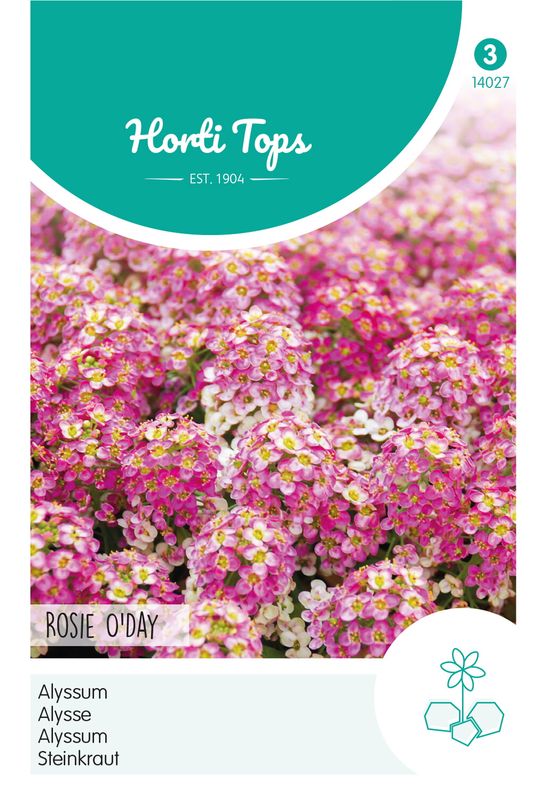 Alyssum Rosie ODay -Frø- Dodre