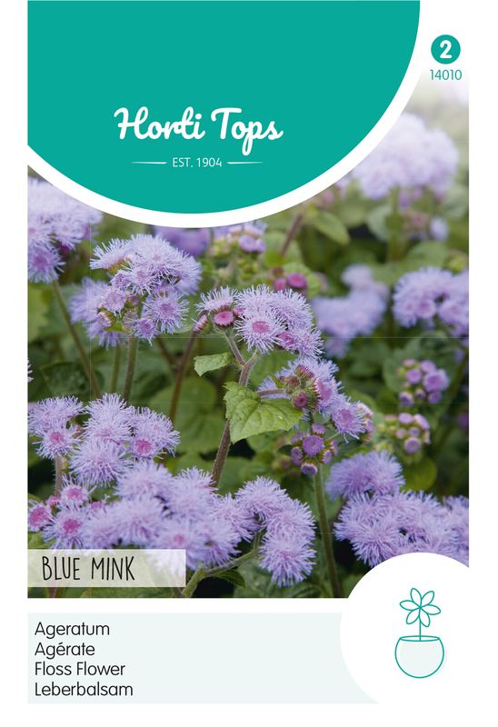 Ageratum  Blue Mink -Frø- Blåkorg