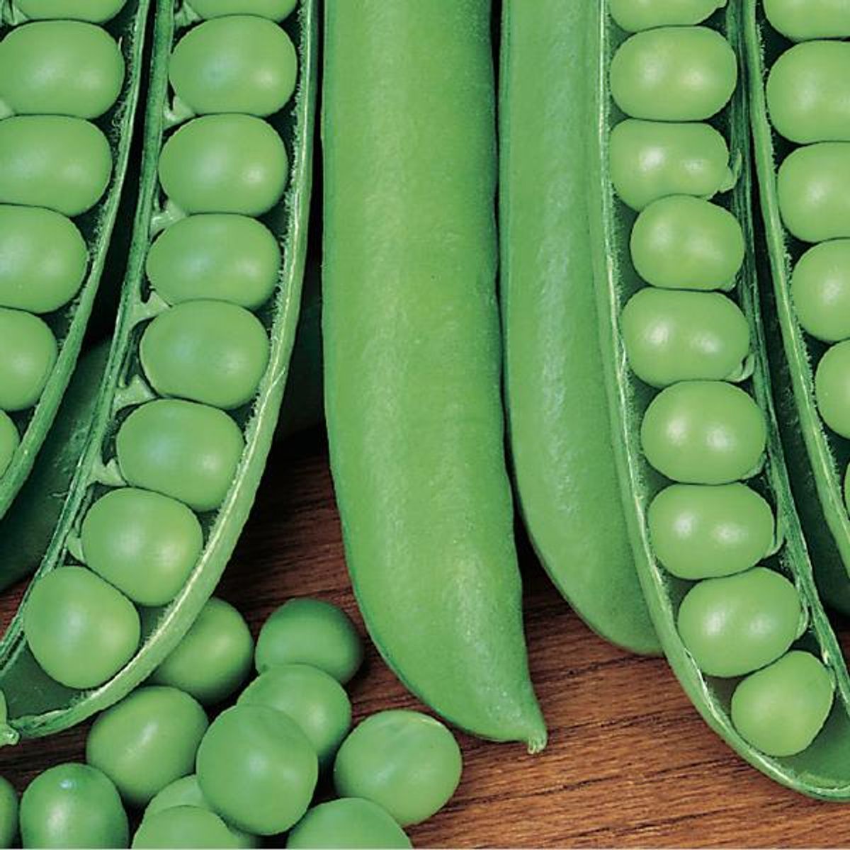 Ert Hurst Greenshaft -Frø-