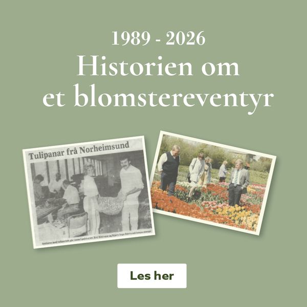 Historien om et blomstereventyr - Botanisk Verden - Zimtrade AS