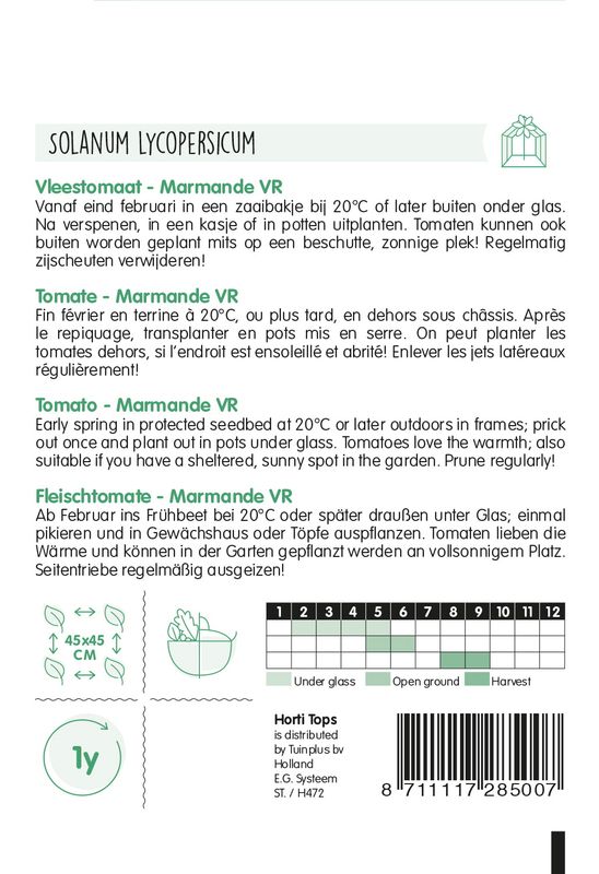 Tomat Marmande Vf -Frø-